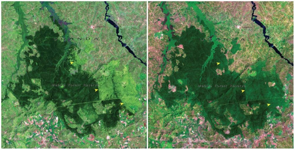 16 Then And Now Photos By NASA That Depict Incredible Changes In The World 11