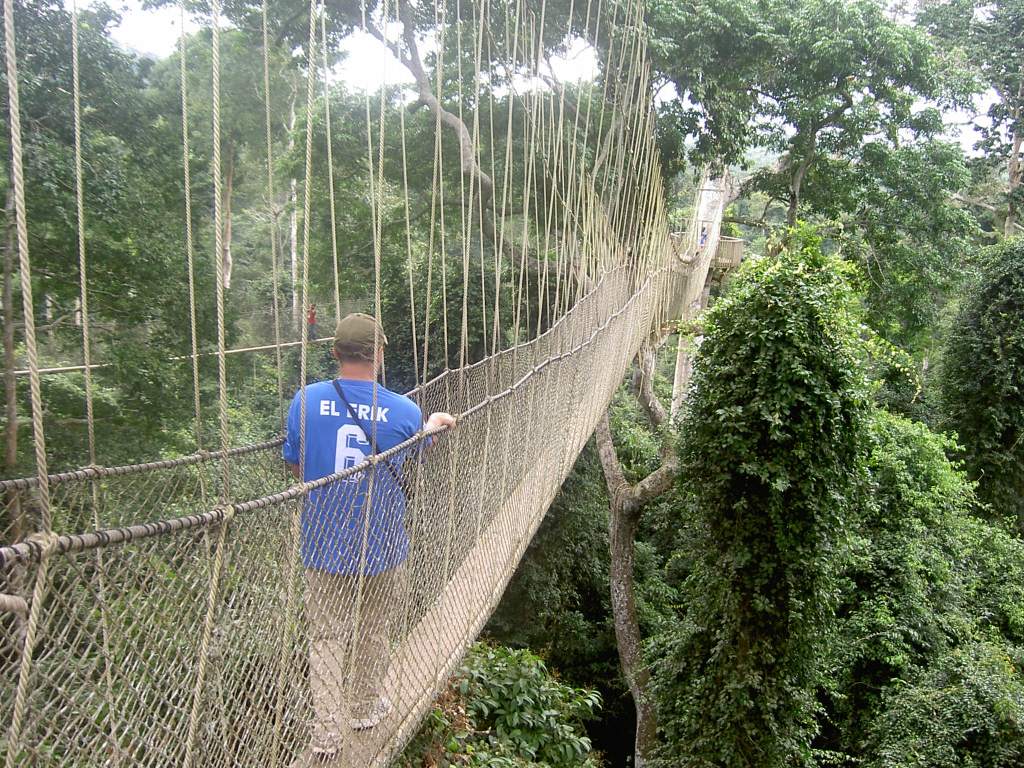 Canopy Walk Ghana