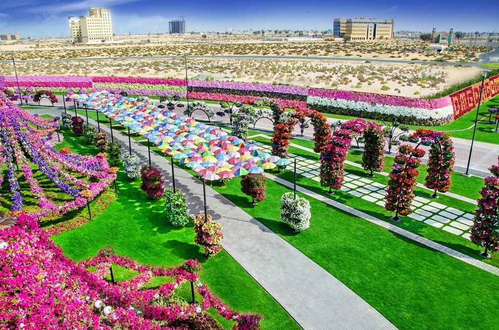 Dubai Miracle Garden Aerial Photo