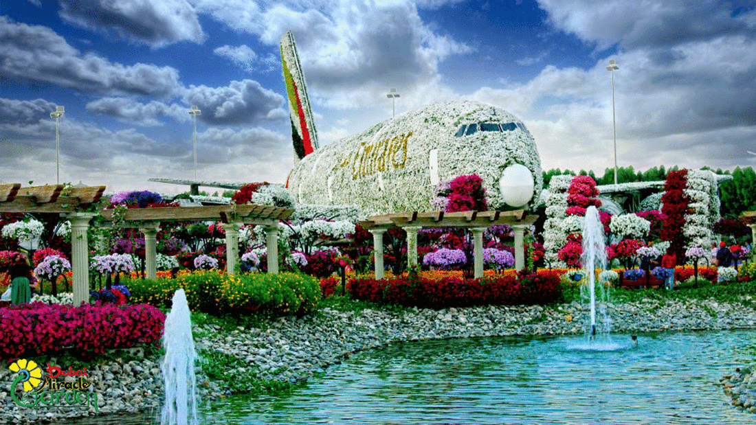 Dubai Miracle Garden TownX Easy18 6