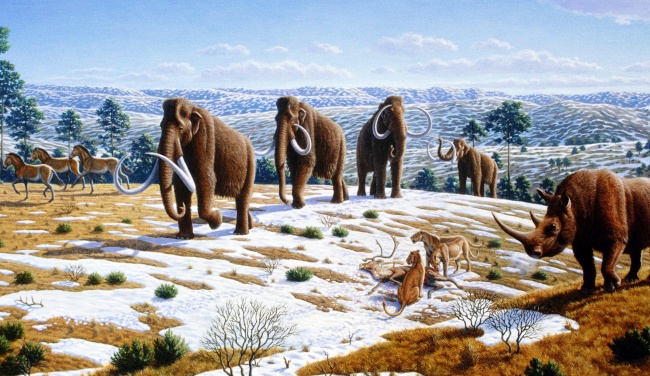 10761310 Ice_age_fauna_of_northern_Spain_ _Mauricio_Anton 1486460073 650 73ae4d25c0 1486711539