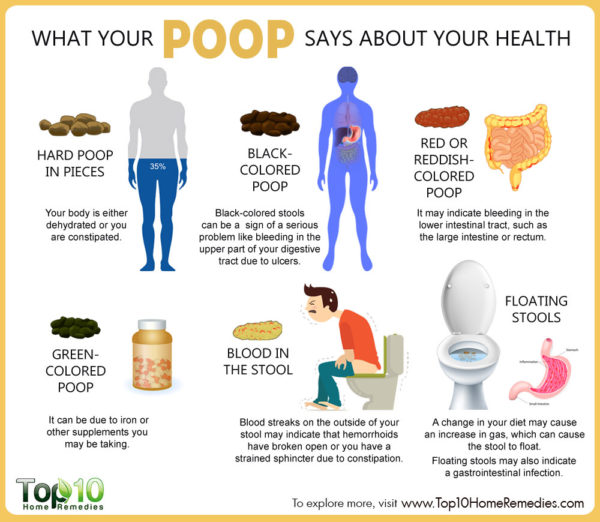 Poop Says Your Health 600x522
