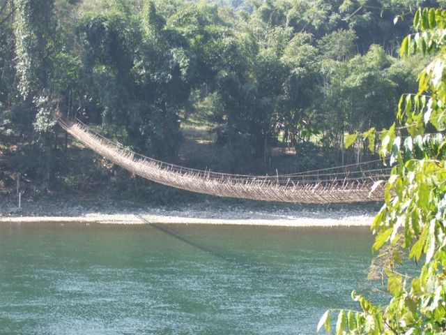 Monkey Bamboo Hanging Bridge Can Tho Vietna