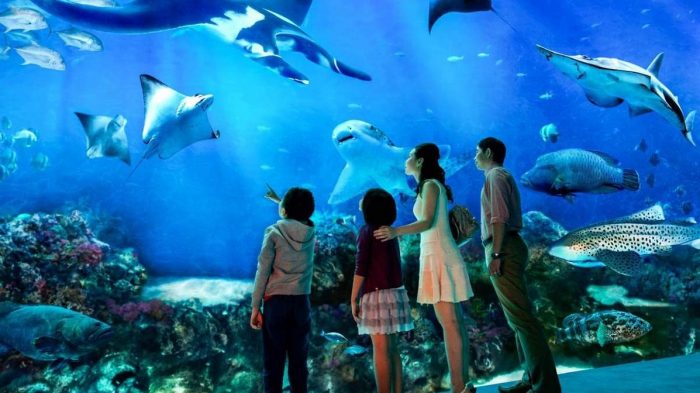SEAAquariumTicketSentosaSingapore_1__94033.1507212361 700x393