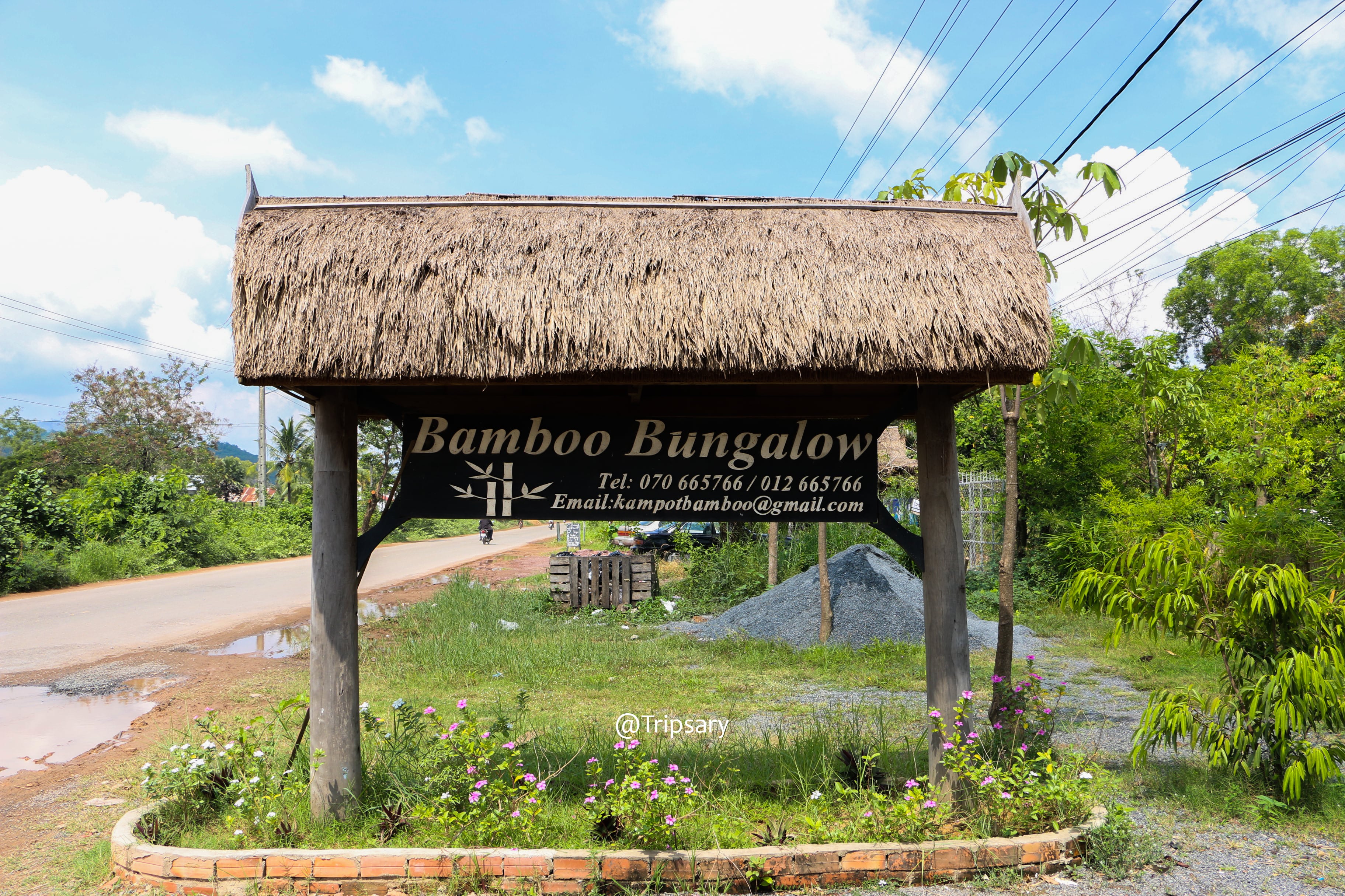 Bamboo 3