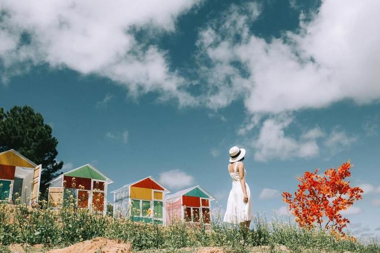 Da Lat Sunny Farm – New Attraction To Discover In Lam Dong, Vietnam