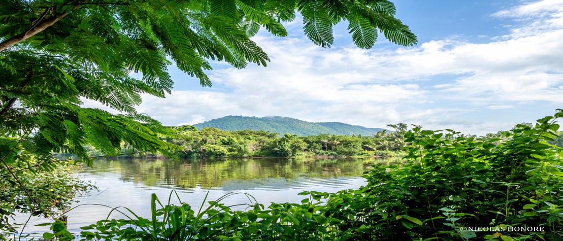 Greenhouse Kampot River2