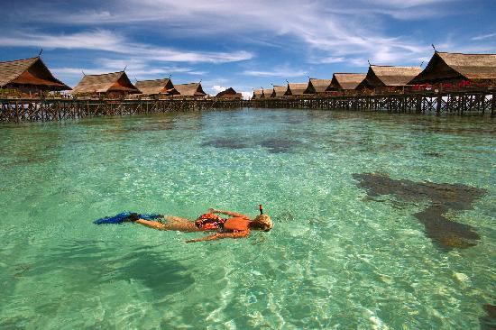 Kapalai Snorkeling