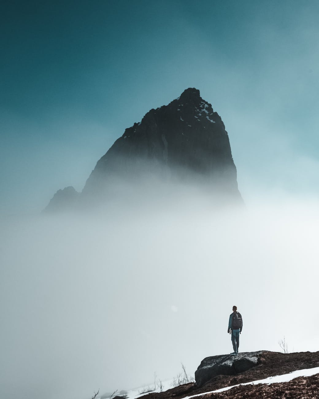 Pexels Photo 2334533