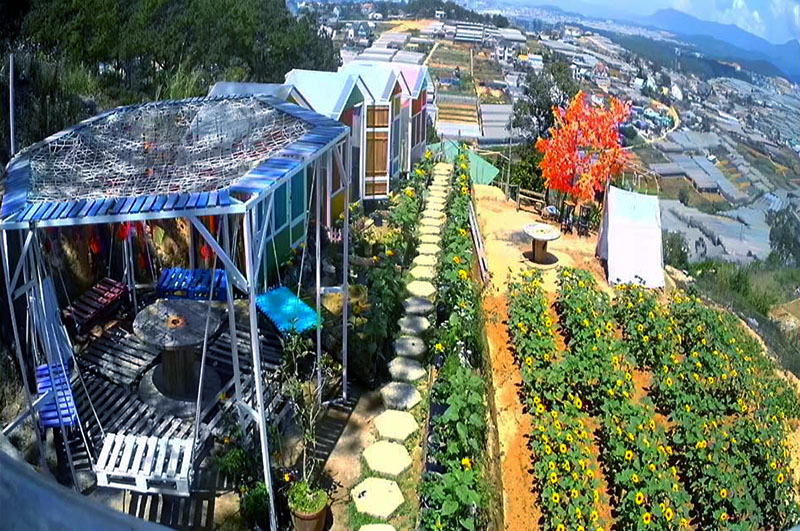 Sunny Farm Nong Trai Vui Ve Da Lat1_9