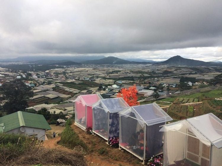 Da Lat Sunny Farm – New Attraction To Discover In Lam Dong, Vietnam