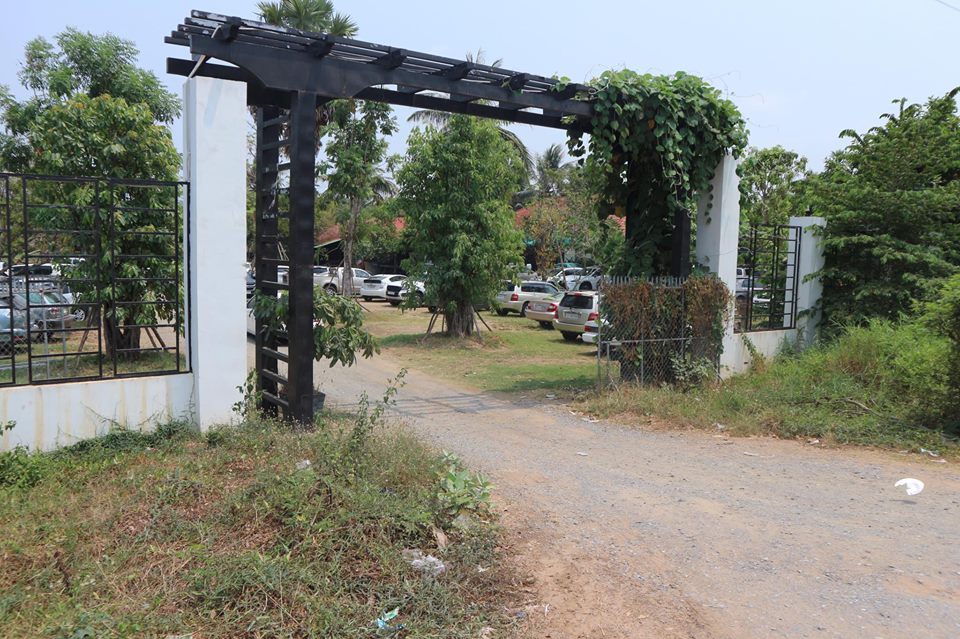 56485672_2358850374128086_1064783879430209536_n