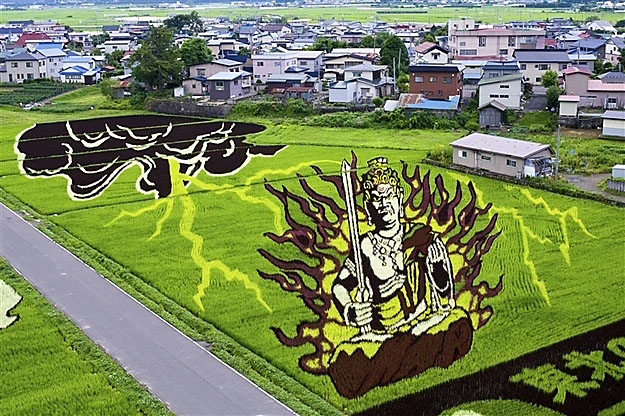 18 Fields That Are Real Works Of Art (10)