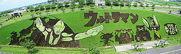 18 Fields That Are Real Works Of Art (11)