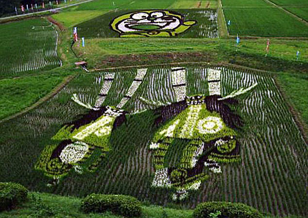 18 Fields That Are Real Works Of Art (12)