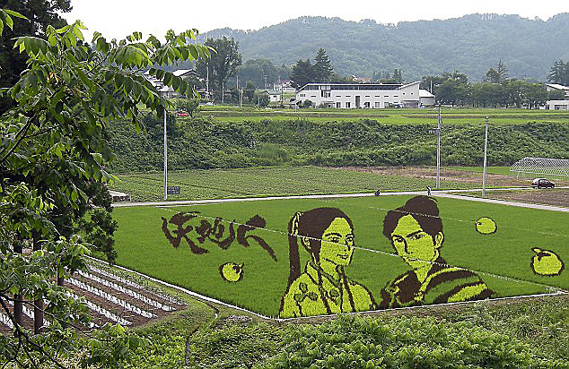 18 Fields That Are Real Works Of Art (14)