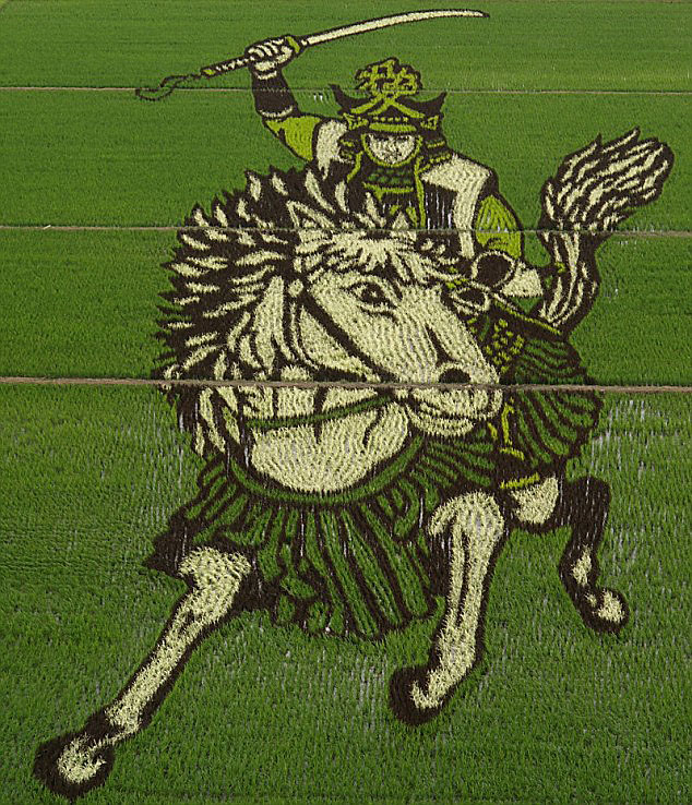 18 Fields That Are Real Works Of Art (15)