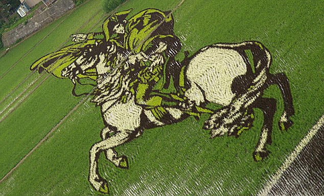 18 Fields That Are Real Works Of Art (16)