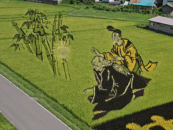 18 Fields That Are Real Works Of Art (2)