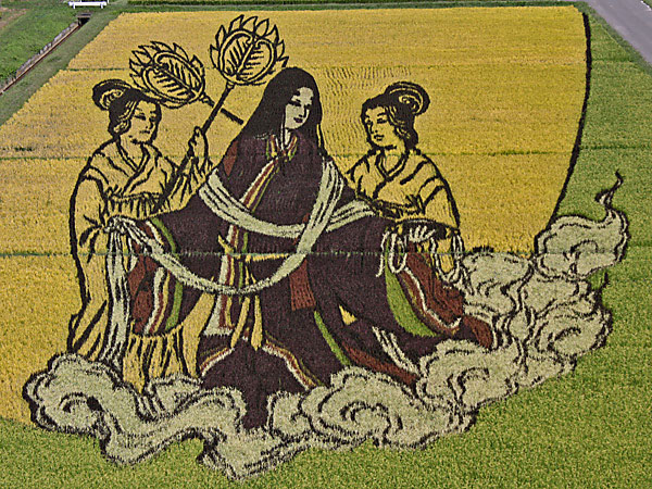 18 Fields That Are Real Works Of Art (3)