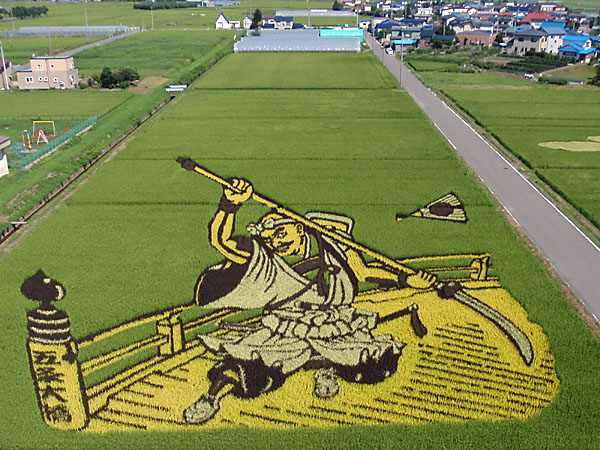18 Fields That Are Real Works Of Art (4)