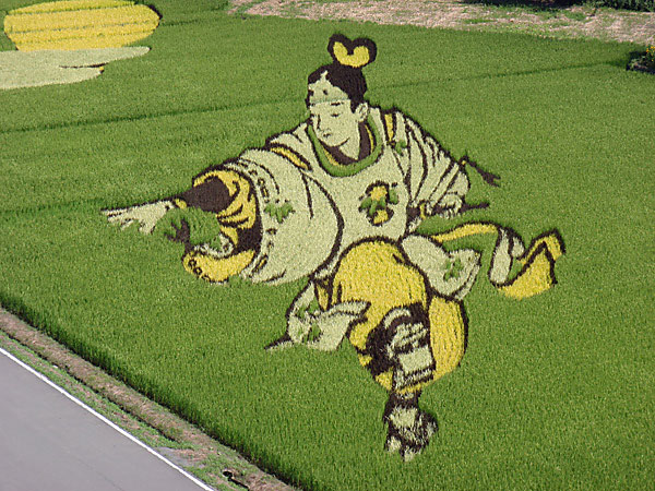 18 Fields That Are Real Works Of Art (5)