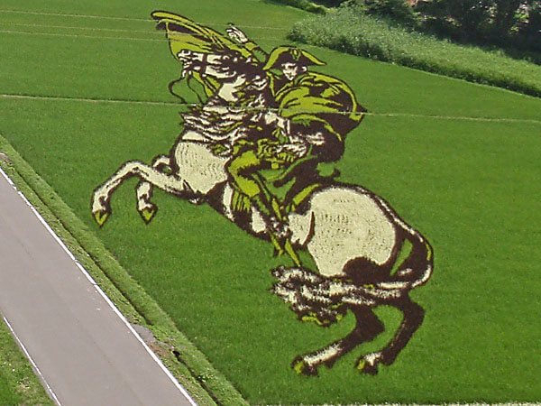 18 Fields That Are Real Works Of Art (6)