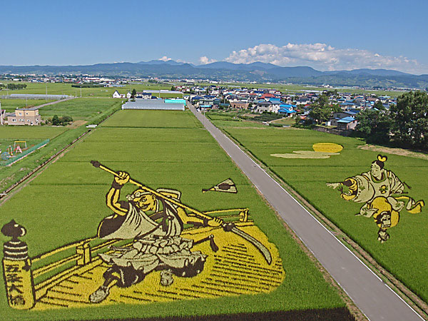 18 Fields That Are Real Works Of Art (7)