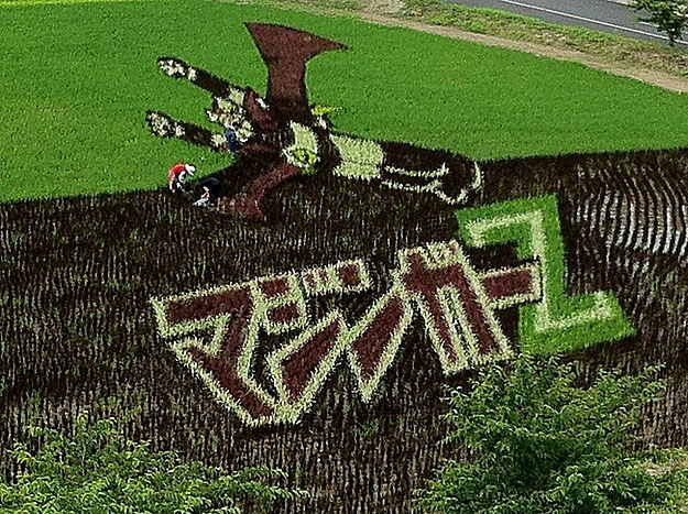 18 Fields That Are Real Works Of Art (8)