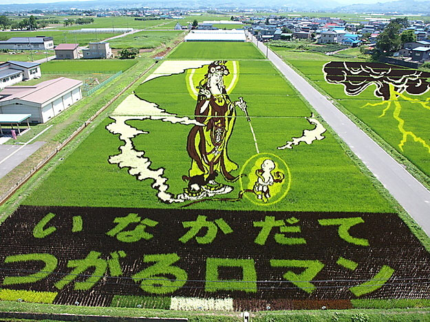 18 Fields That Are Real Works Of Art (9)