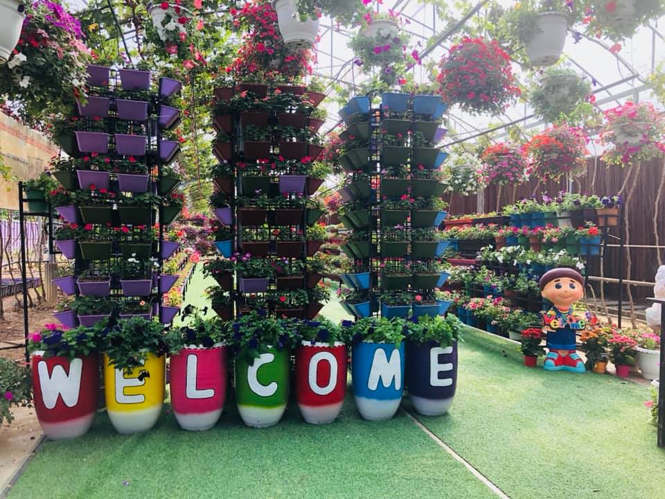 50872858_769293593429078_8860558174923522048_n