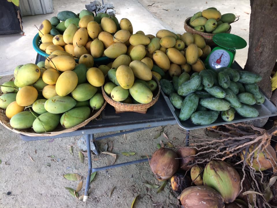 66325496_1162399850625760_1238438280609923072_n