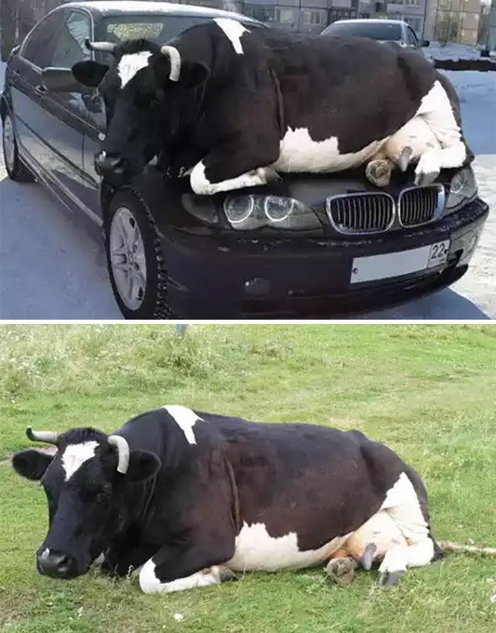 ១៧