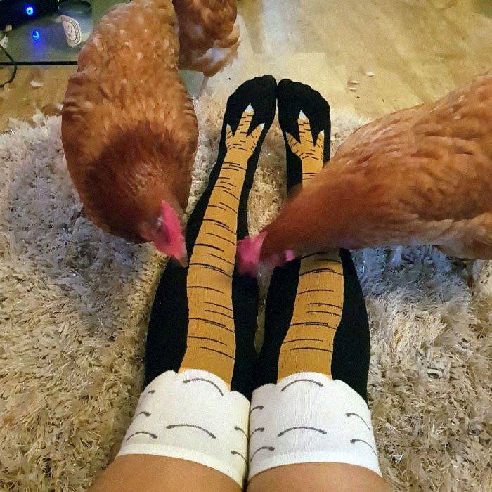 Chicken Leg Socks 3 5d724a113098a__700