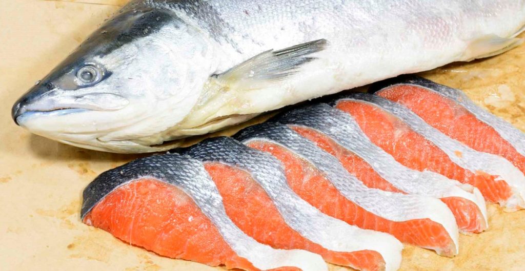 Tuna Fish Benefits For Body 1024x529