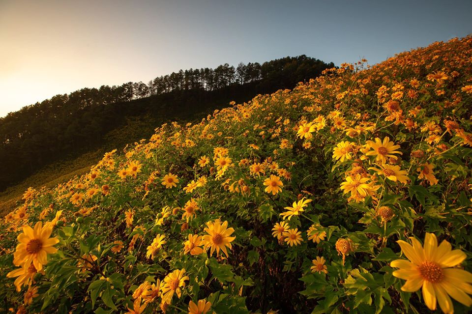 74417329_150194316364037_6042320185703006208_o