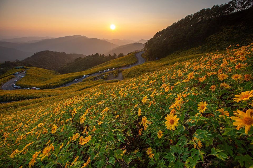 74492764_150194119697390_1203766886530023424_o