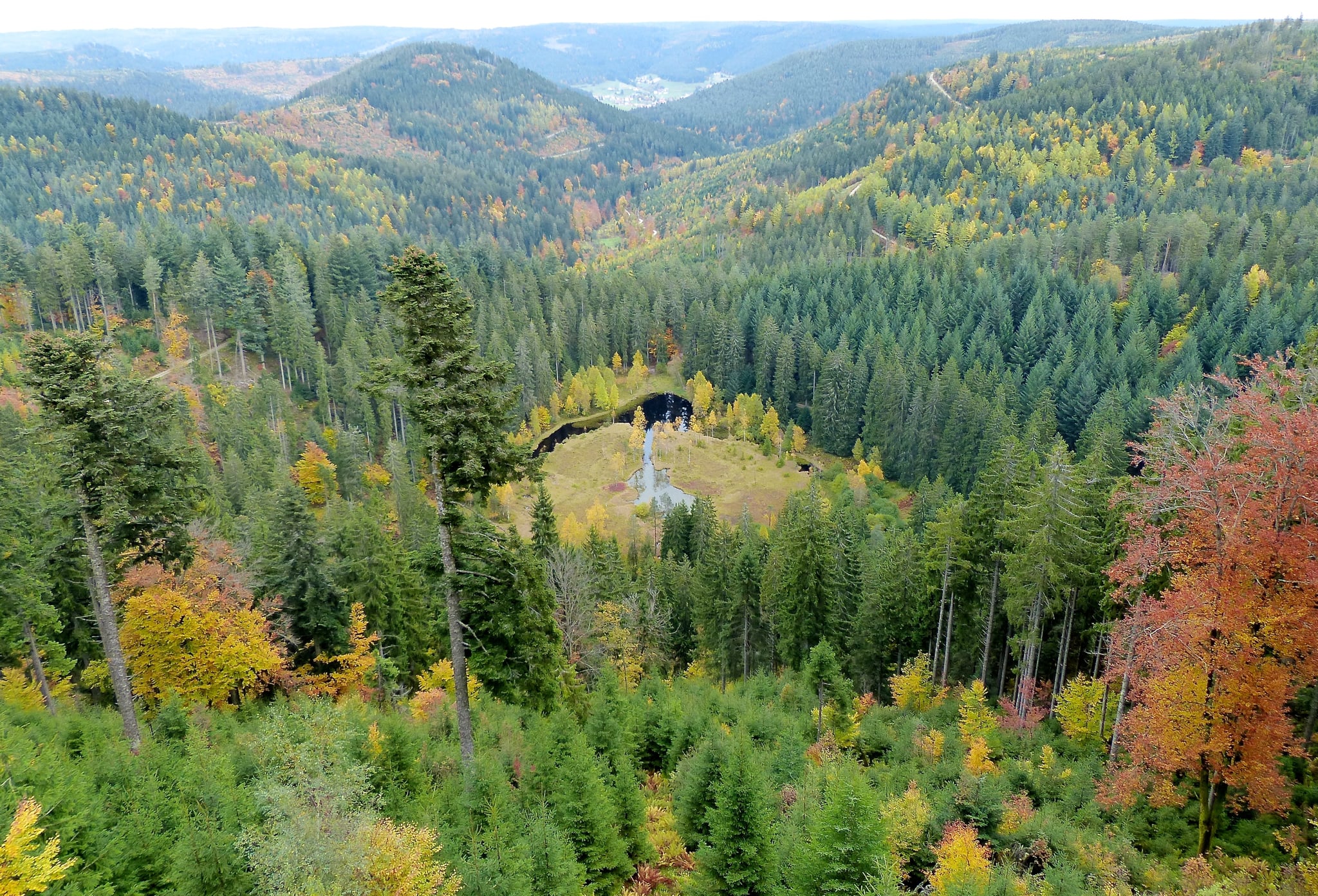 Black Forest Germany