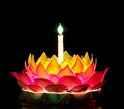 បណ្តែតប្រទីប