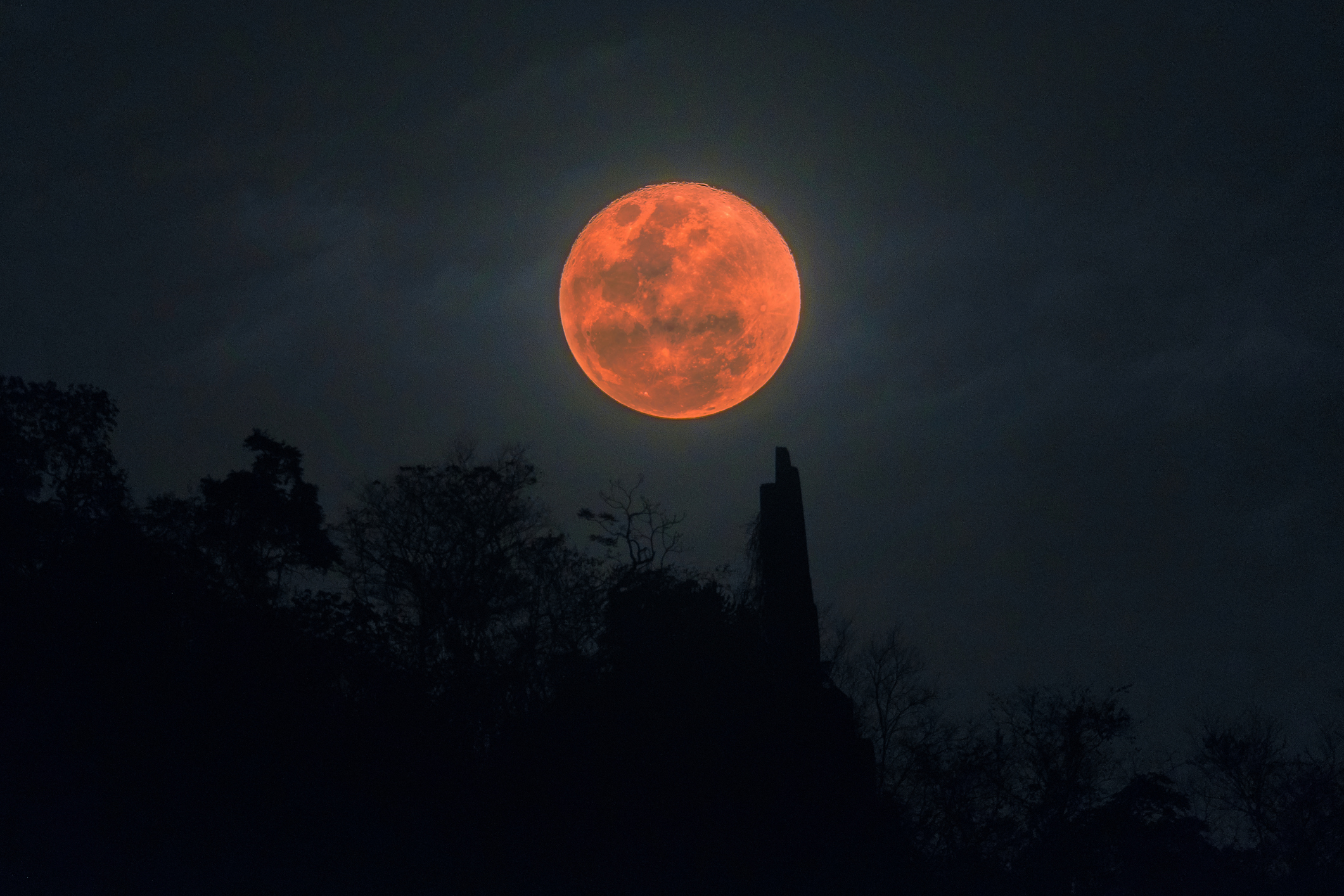 Super Blood Blue Moon