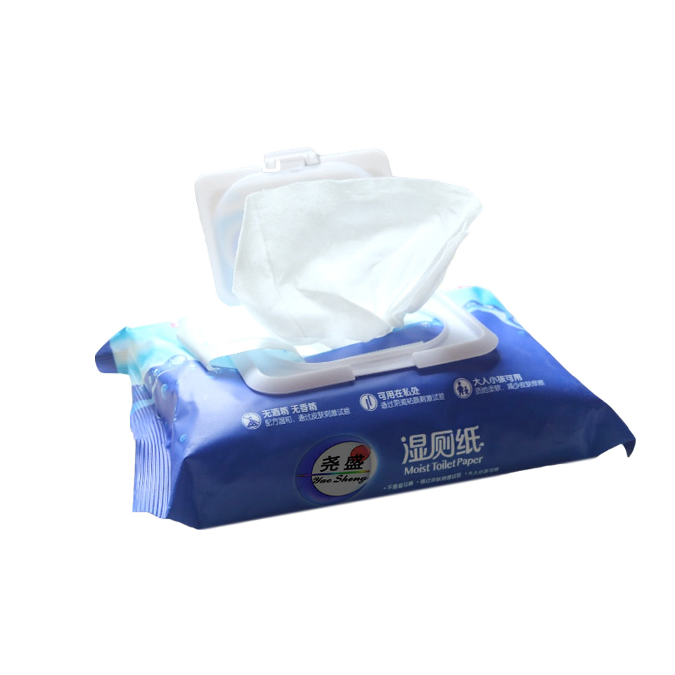 Flushable Cleaning Wet Wipes Moist Toilet Paper