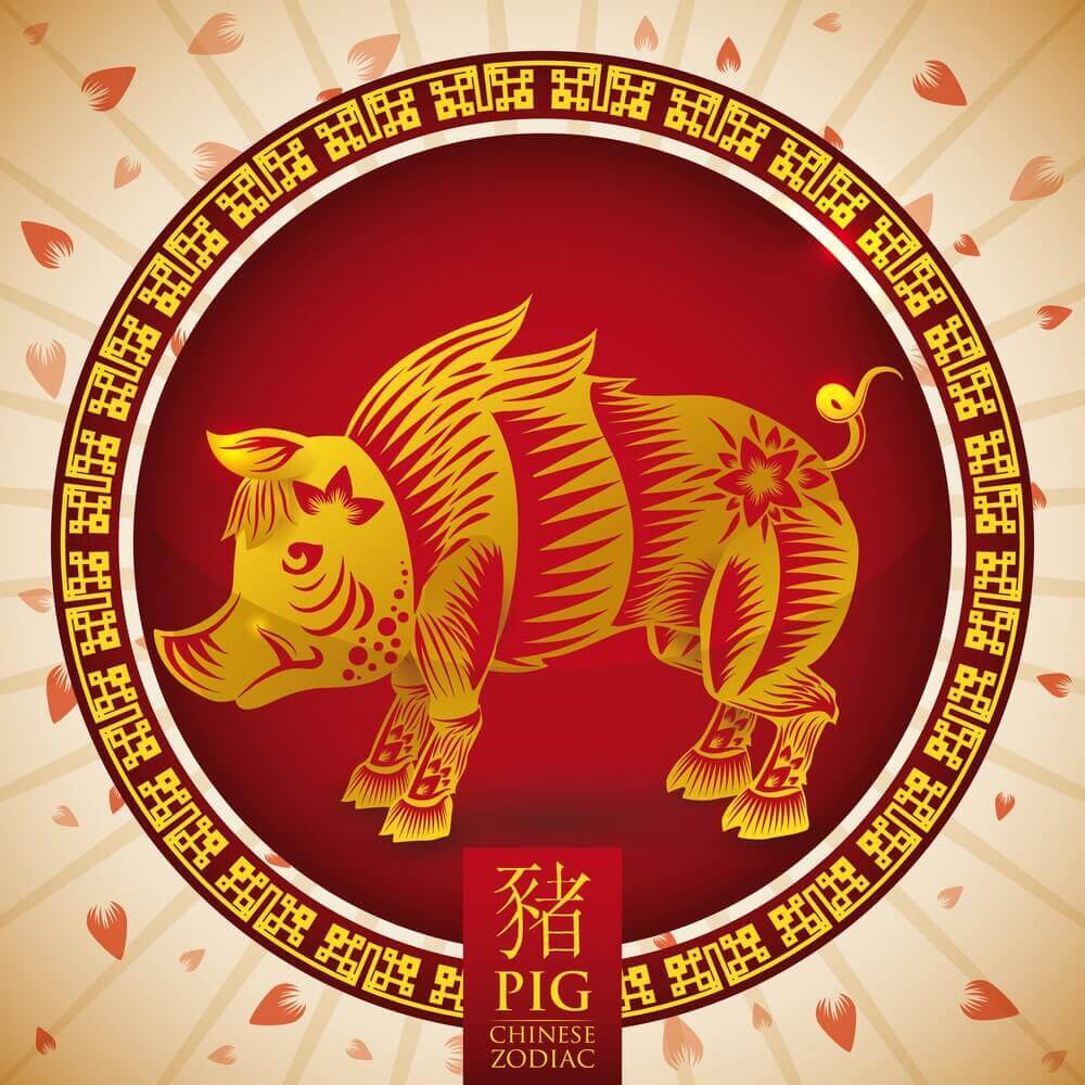 Pig