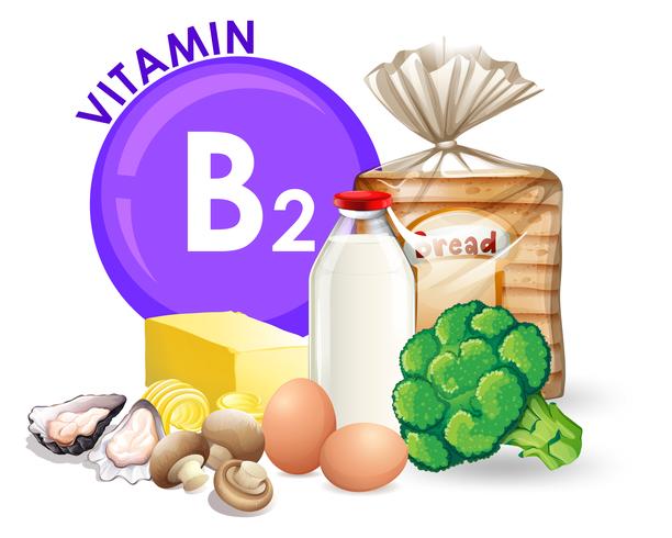 3. Vitamine B2