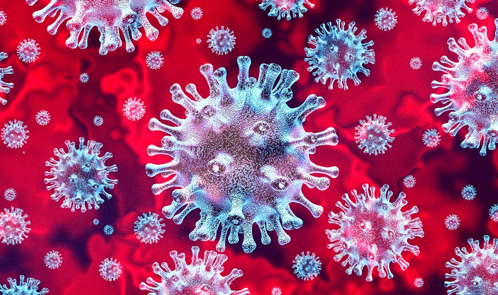Coronavirus Photo 1