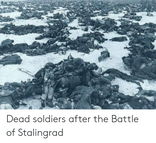 Dead Soldiers After The Battle Of Stalingrad 55481904