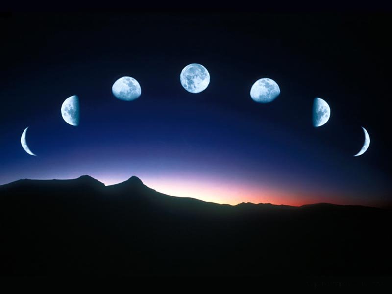 Moon In Motion