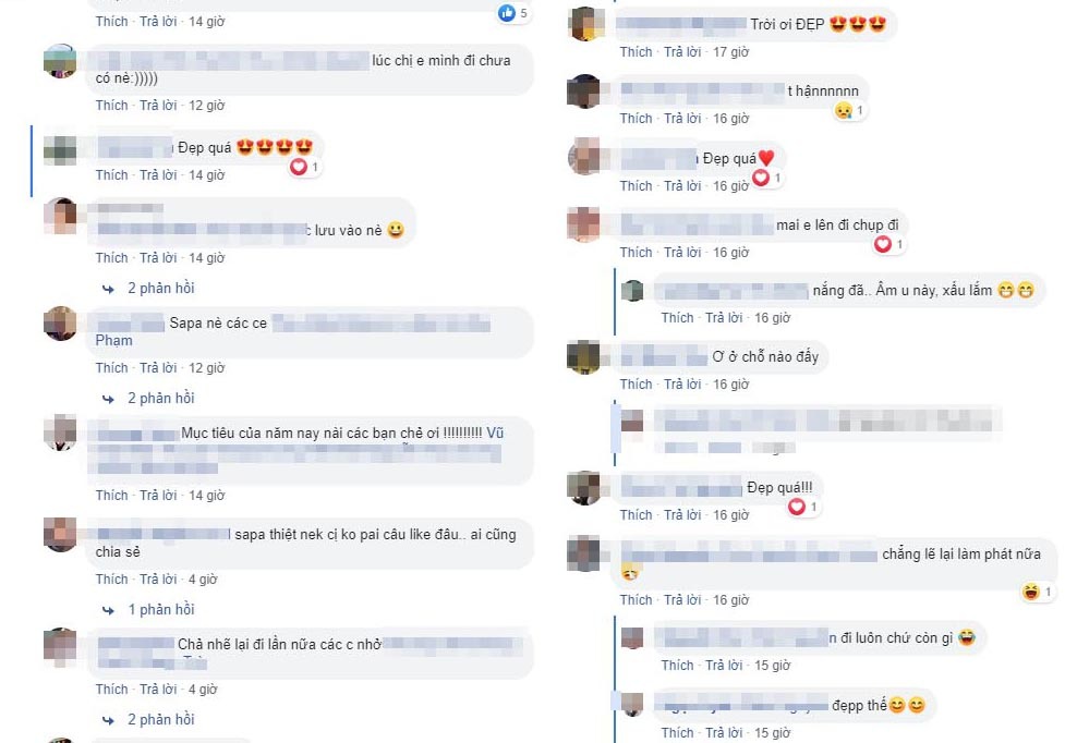 Xuat Hien Bali Thu Nho Giua Long Sa Pa Khien Dan Mang Phat Cuong Bc737772