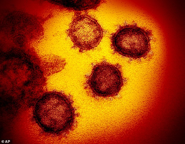 24851786 8090761 A_coronavirus_vaccine_could_be_available_within_months_an_Oxford A 7_1583744334963