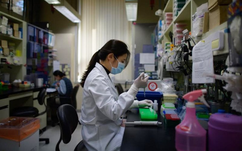 A Technician Works Laboratory International Vaccine Institu