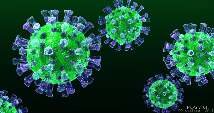 Mers Virus 3D Image